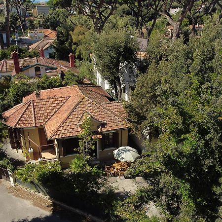 Exclusive Charming Villa - Free Parking 400 Mq Garden - Rome Airport - Roseto Villa Dream Fregenae Eksteriør bilde