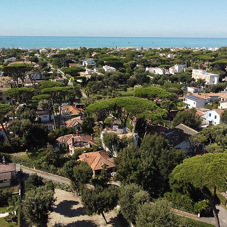 Exclusive Charming Villa - Free Parking 400 Mq Garden - Rome Airport - Roseto Villa Dream Fregenae Eksteriør bilde